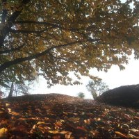 Cascina Piano Autunno